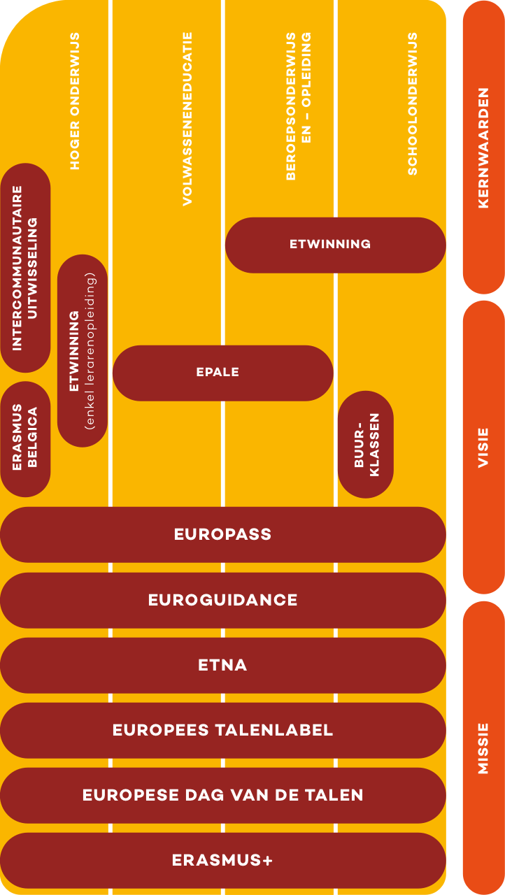 Infographic – mobile-v20