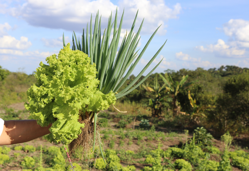 agroecology(510 x 350 px)
